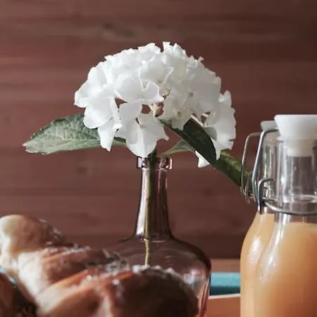 Jacuzzi Privatise En Acces Illimite Duplex