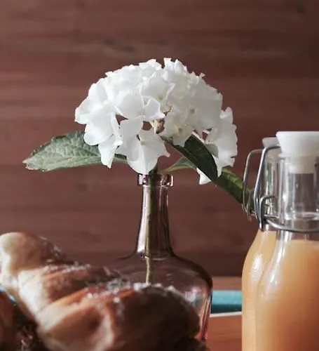 Jacuzzi Privatise En Acces Illimite Duplex